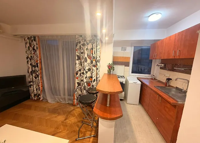 Apartment Cismigiu Universitate View